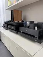 Dion Audio pre (EL84) + mono 300B amps