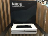 Node N130