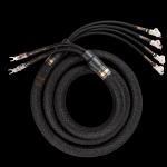 Bifocal XL 8F 0645CE New Kundenruckläufe