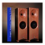 ZINGALI ACOUSTICS TWENTY EVO 1.2 30th Anniversary
