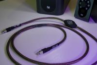 Ansuz Digitalz D2 Ethernet | 3 metres | 2024 | VAT Deductible