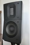 Raidho D1.1