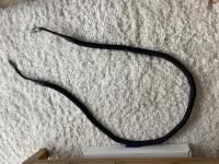 Cosmos XLR balanced interconnects. 2.5m