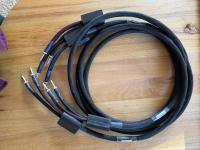 Faraday S