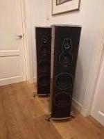 SF Amati Tradition Wenge
