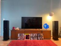 ProAc D20R – Esche Schwarz – Topzustand & mit OVP