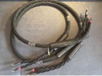 Galileo SX Speaker Cables Lautsprecherkabel 8FT