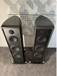 Gauder Akustik DARC 200 DARC200 MK2 High End Standlautsprecher in schwarz Demo