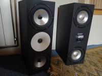 Pair of Amphion Two18 Ultima – Full Custom Optimization by Corrado Faccioni (Corfac2) + Dedicated phiTon Stands