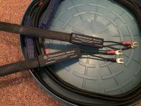 Townshend isolda 3,0m ls kabel  			