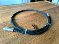 Excelsus direct Digital Referenzklang!