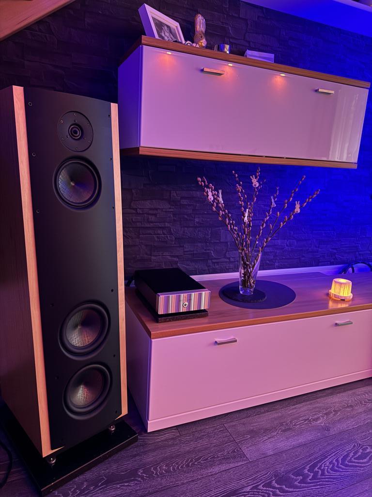 Audio Mart Magico V3 For Sale V3