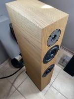 Pylon Audio Diamond 25