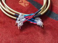 Inspiration Hybrid mit WBT Stecker