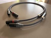 Siltech Classic Anniversary 550i XLR 1m