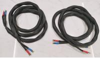 Elation - 3 meter pair