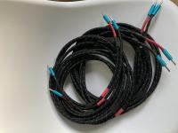 Platin Line LS4 - 2 x 4 Meter Single Wire