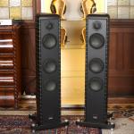 DARC 100 CL DV mit Big Foot (Paar)