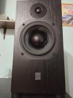 SCM19 v2