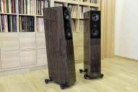 Avantera Black Ebony Hi Gloss