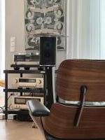 C-2450/AD-2900/P-4600