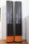 Martin Logan Clarity - Elektrostaten - sehr gepflegt