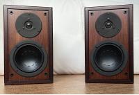 Dynaudio Contour 1 MkII + Originalständer | Rosewood | Made in Denmark