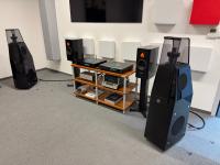 116 F Radialstrahler