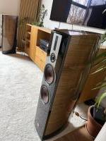 Dali Epicon 6 - ausgezeichneter Zustand