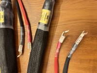 Elrod Power Systems Statement Gold speaker Cables