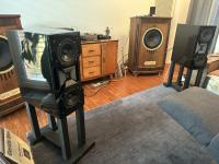 Wilson Audio Cub 1