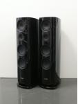 Reference 5 schwarz High-End Standlautsprecher