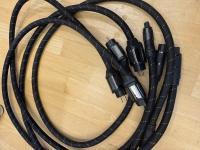 PS Audio PerfectWave AC-12 (Schuko) 2m