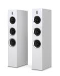 B 28