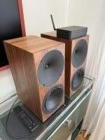 Buchardt Audio A10 in Walnuss mit Platin Stereo Hub