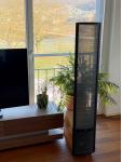 Martin Logan Ethos, neuwertig, traumhaft klingend