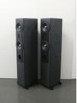 SN 370 AMT High-End Standlautsprecher