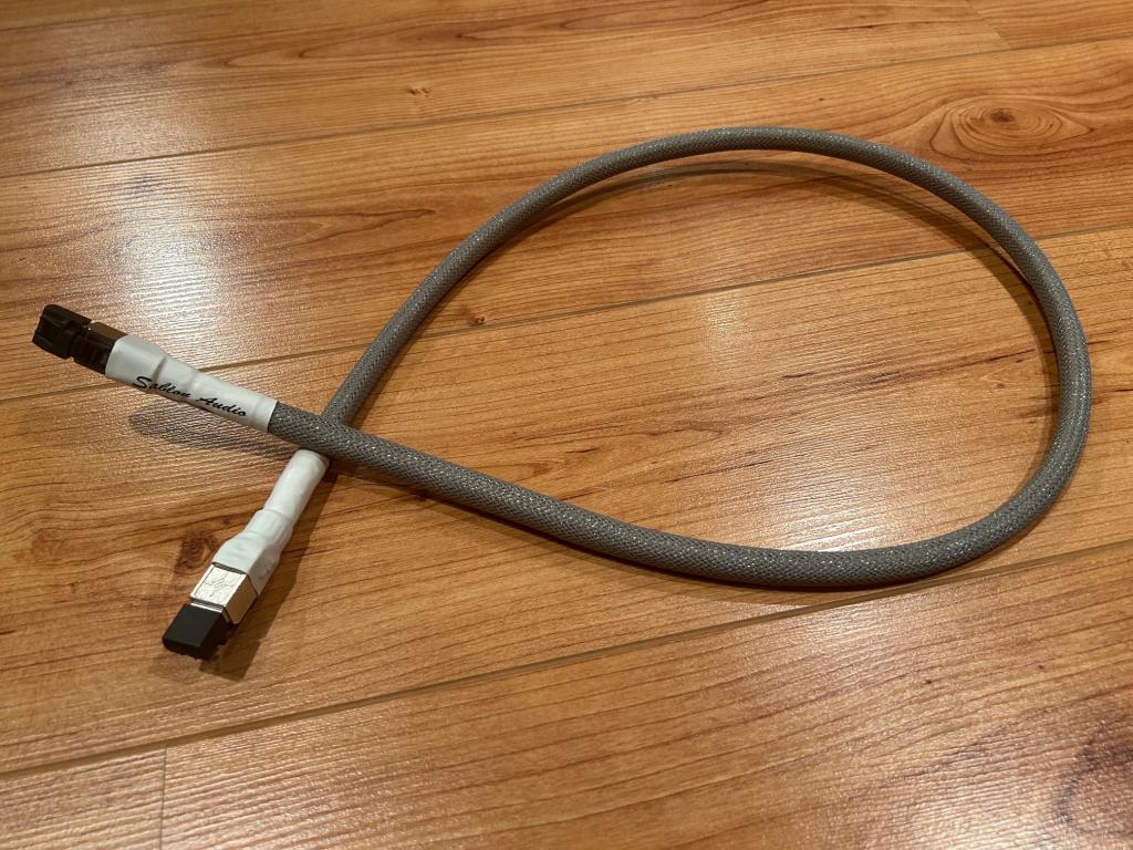 Ethernet LAN cable 1,0 m