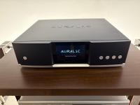 Vorführgerät - Auralic - Aries G 1.1 Streaming Transport: Audiophiler Netzwerk-Streamer