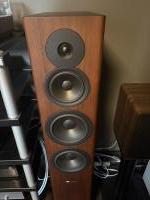 Dynaudio Evoke 50 Walnuss