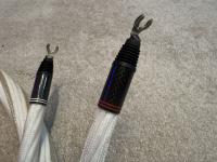 Stealth Audio Cables Dream Petit v16 T speaker cables