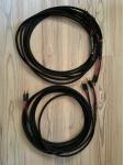 Conductor 2x3m biwire speaker cable
