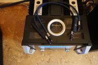 Wild Blue Yonder 0,75m