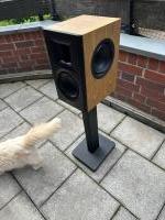Radiant Acoustics Clarity 6.2