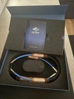 Siltech Classic Legend 880i RCA