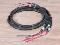 Proteus Provectus Praesto highend audio speaker cables 2,5 metre