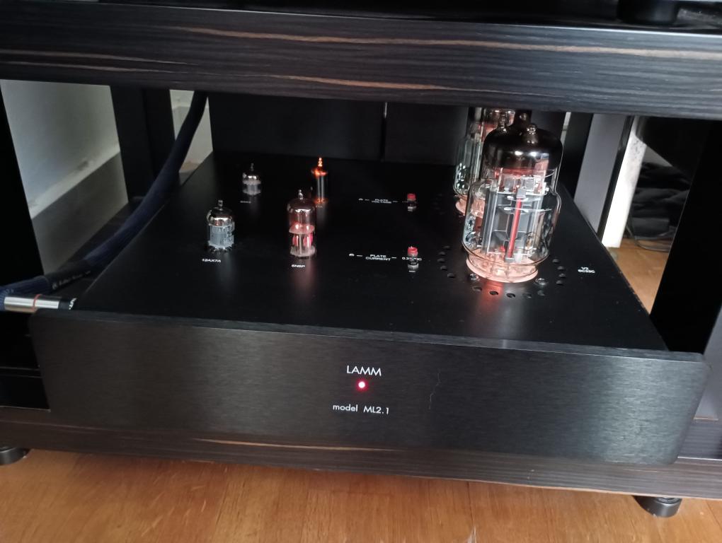 Lamm LAMM ML2.1 monoblocks