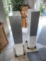 FS 409