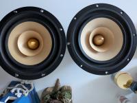 Tang Band 1772 Chassis