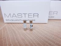 Master audio Quantum Fuse 5x20mm Slow-blow 5A 250V (2 available)